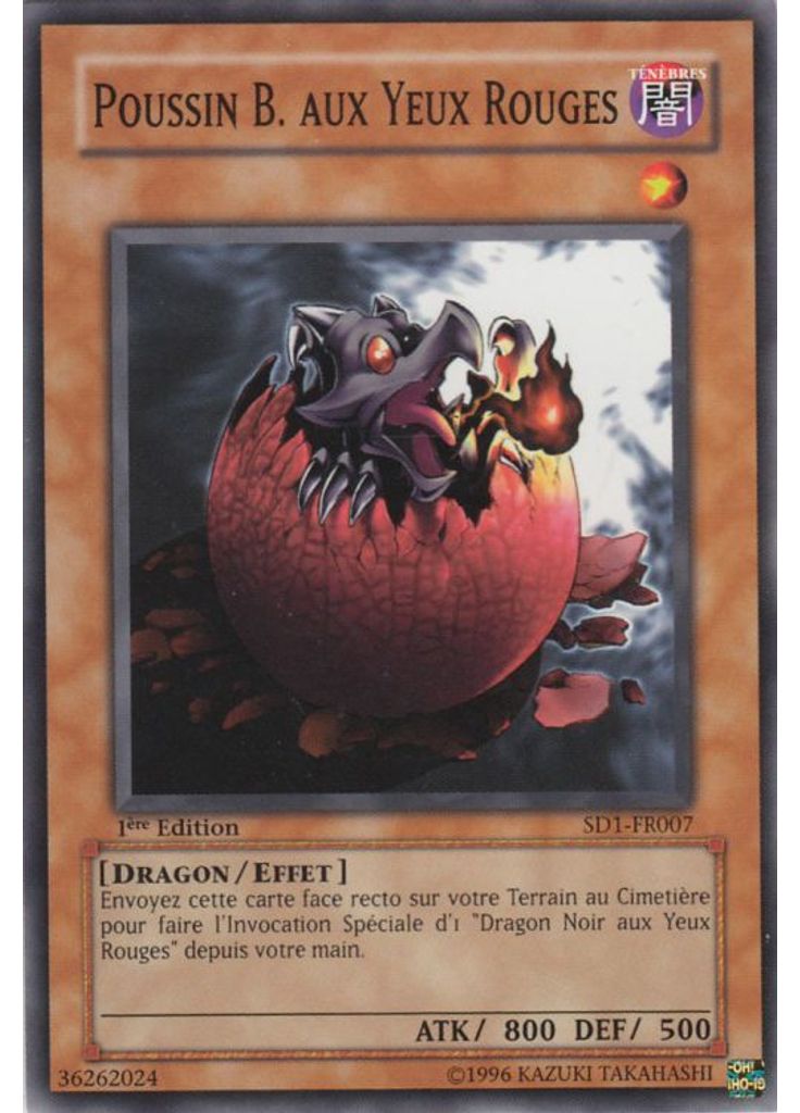 Poussin Dragon Noir