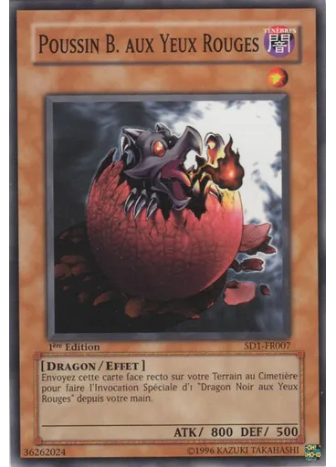 Poussin Dragon Noir