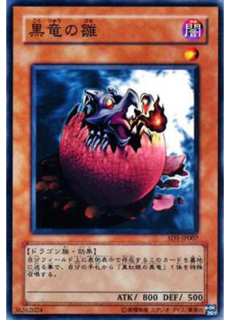 黒竜の雛