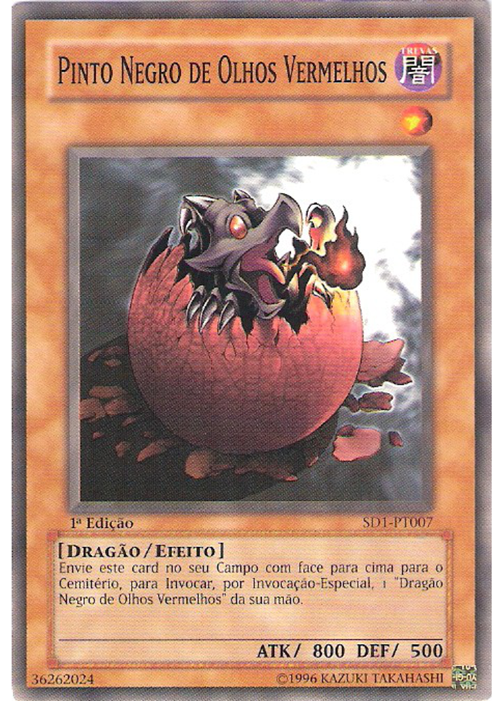 Filhote do Dragão Negro