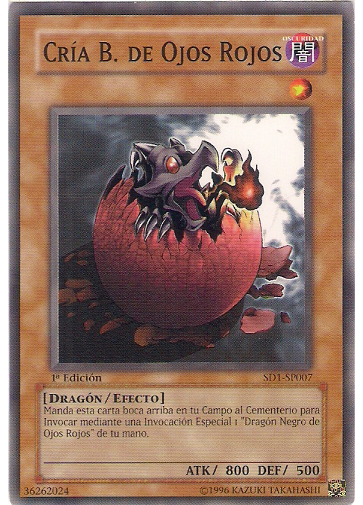 Cría de Dragón Negro