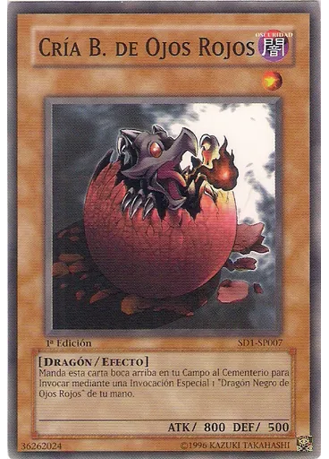 Cría de Dragón Negro