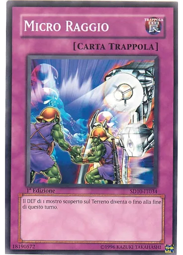 Micro Raggio