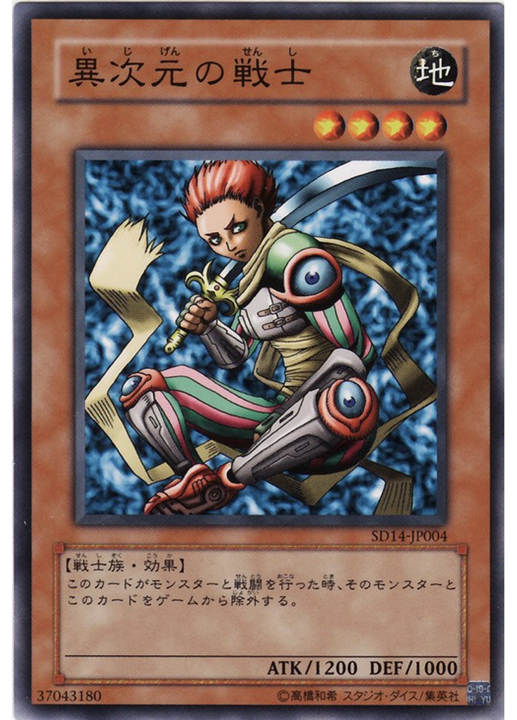 異次元の戦士