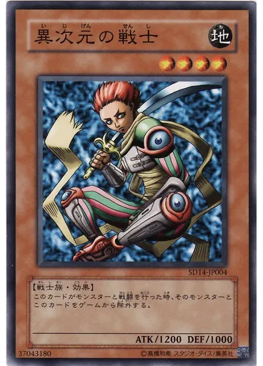 異次元の戦士