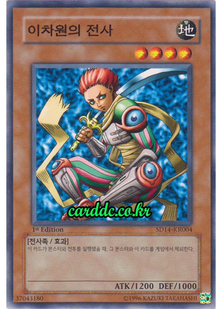 이차원의 전사