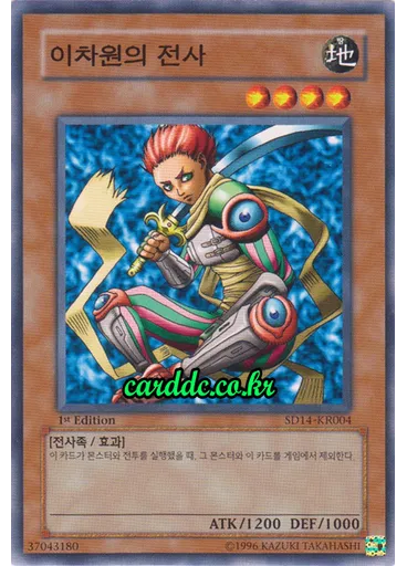이차원의 전사