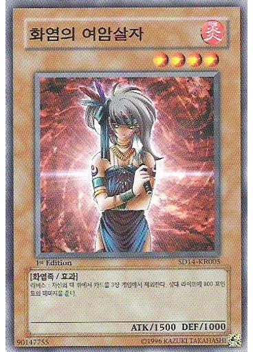 화염의 여암살자