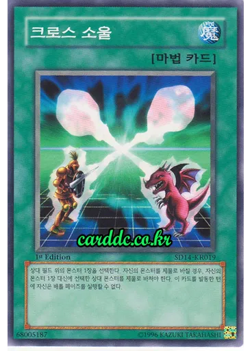 크로스 소울