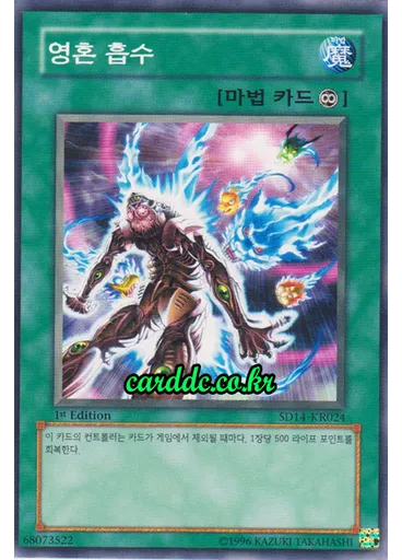 영혼 흡수