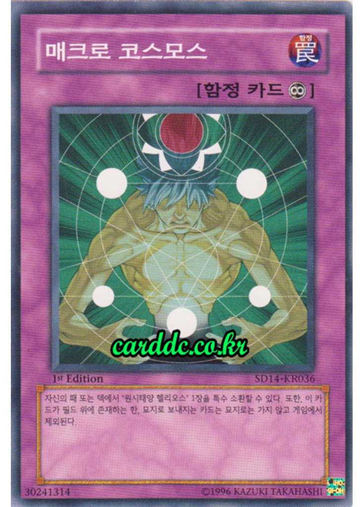 매크로 코스모스