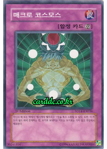 매크로 코스모스