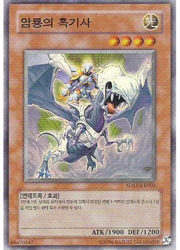 암룡의 흑기사