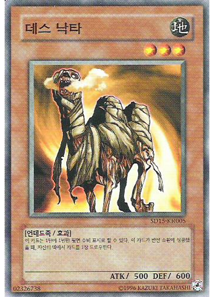 데스 낙타