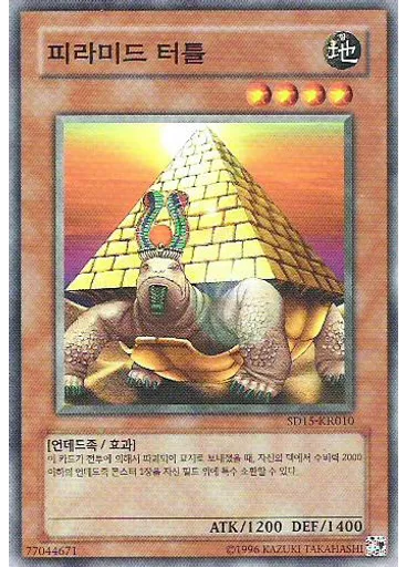 피라미드 터틀