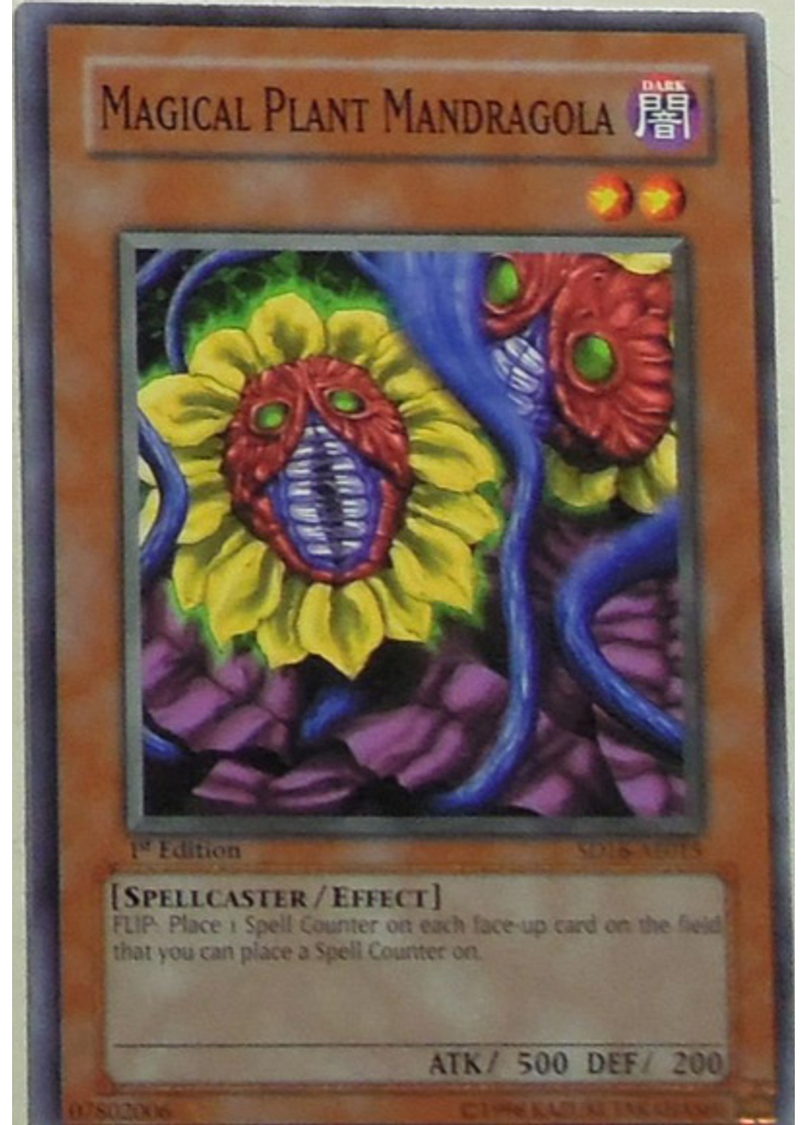 Magical Plant Mandragola