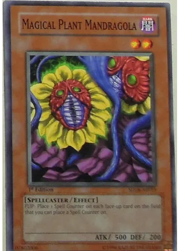 Magical Plant Mandragola