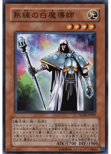 熟練の白魔導師