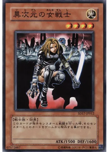 異次元の女戦士