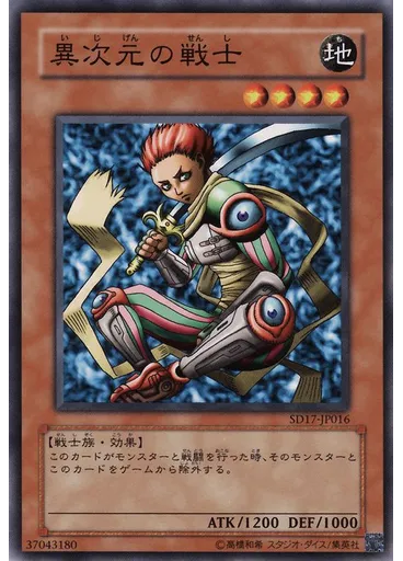 異次元の戦士