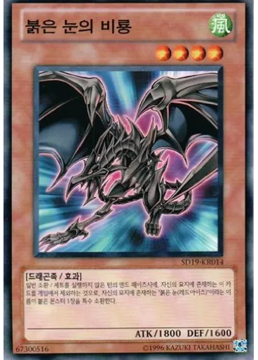 붉은 눈의 비룡