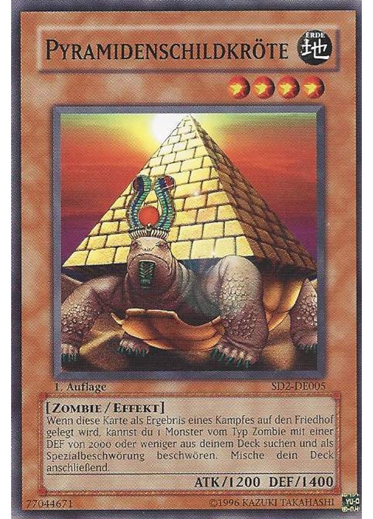 Pyramidenschildkröte