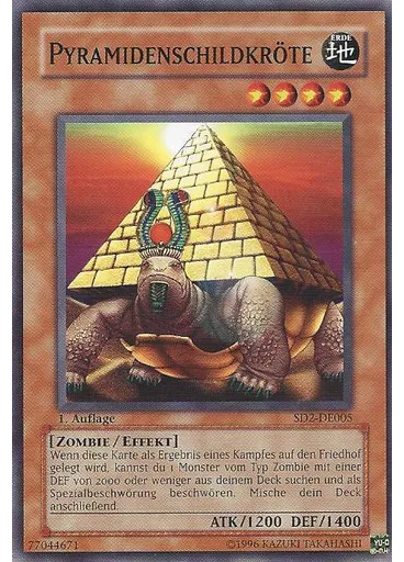 Pyramidenschildkröte