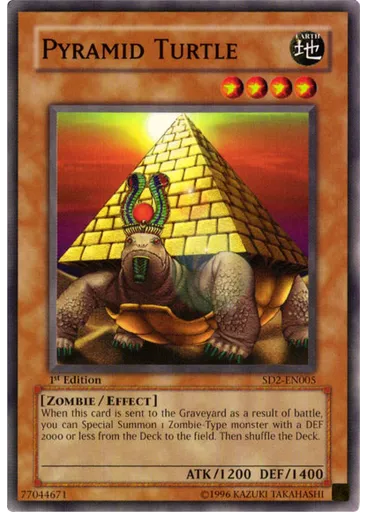Pyramid Turtle