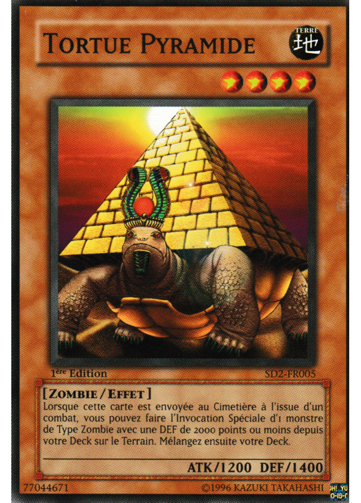 Tortue Pyramide