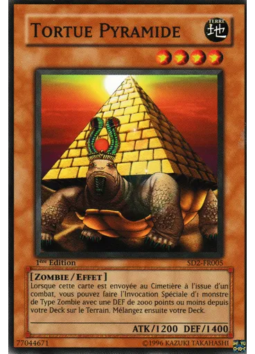 Tortue Pyramide