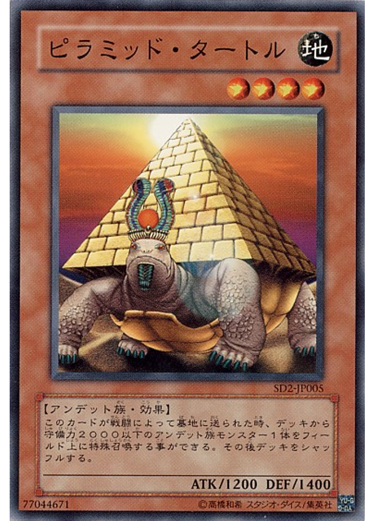 ピラミッド・タートル
