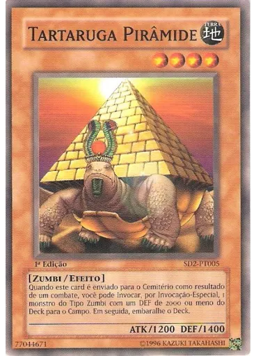 Tartaruga Pirâmide