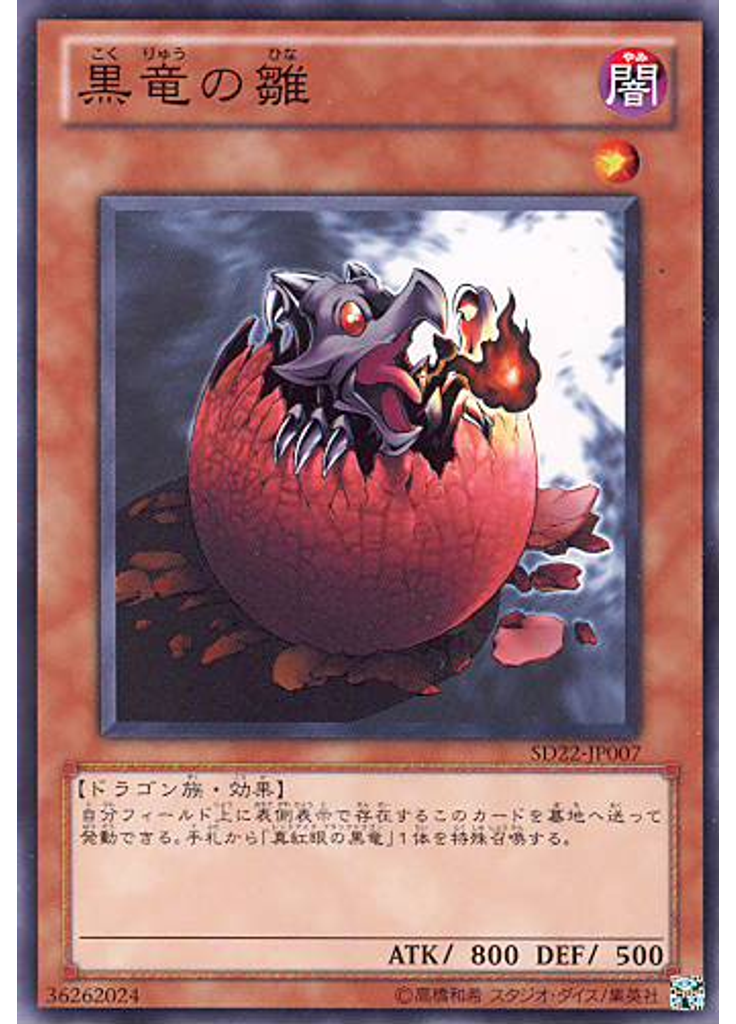 黒竜の雛