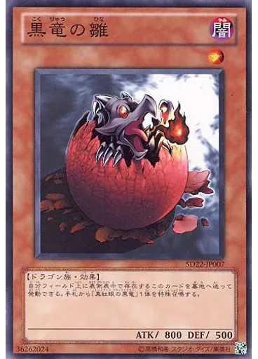 黒竜の雛