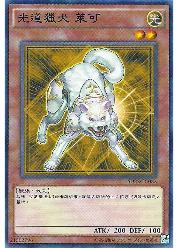 光道獵犬 萊可
