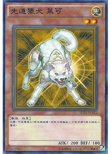 光道獵犬 萊可