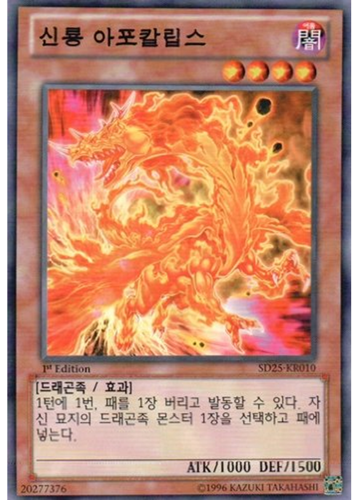 신룡 아포칼립스
