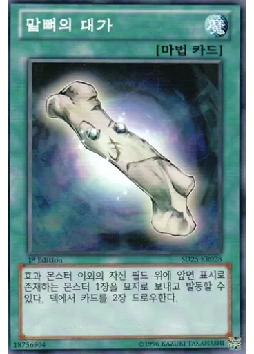 말뼈의 대가