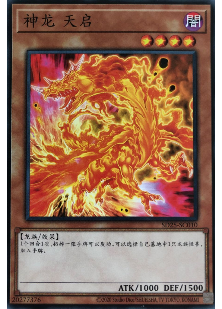 神龙 天启