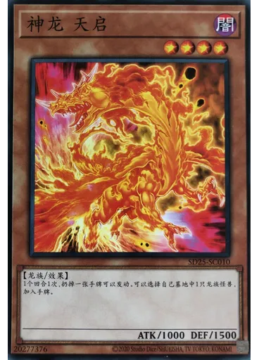 神龙 天启