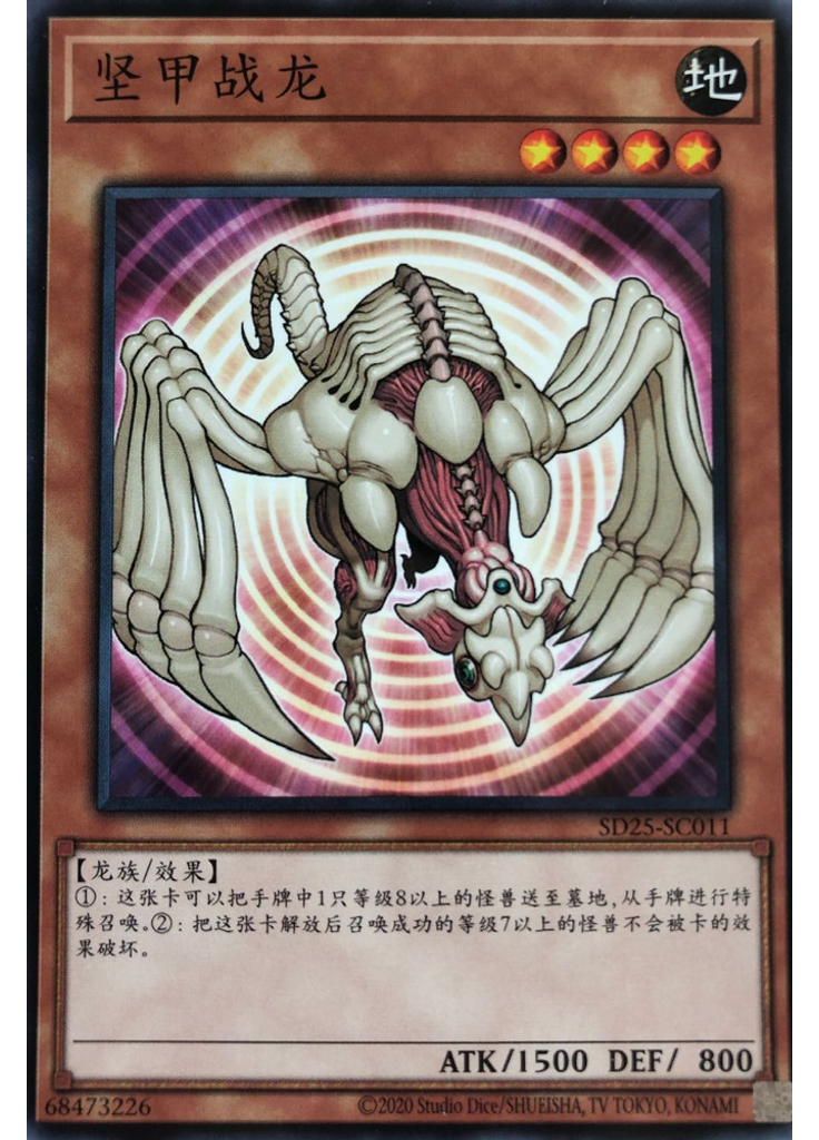 坚甲战龙