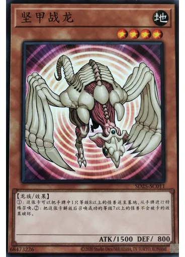 坚甲战龙