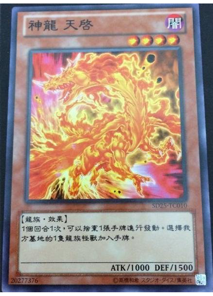 神龍 天啓