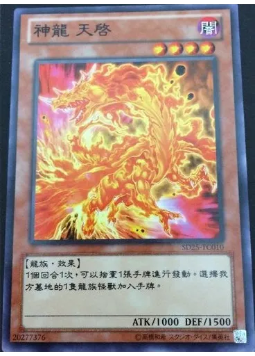 神龍 天啓