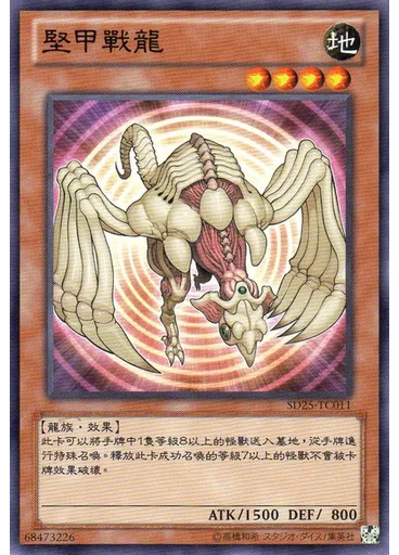 堅甲戰龍