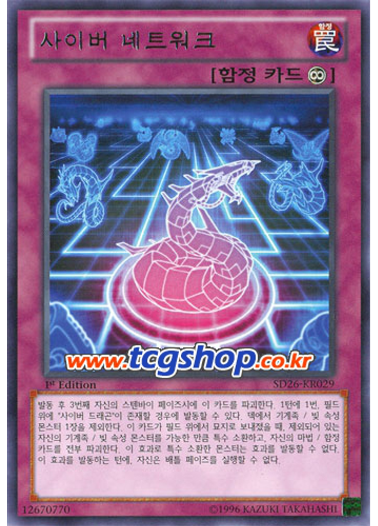 사이버 네트워크