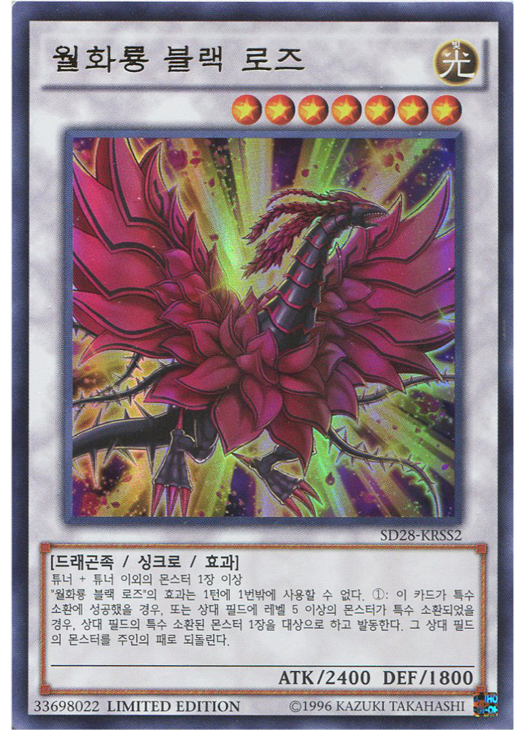 월화룡 블랙 로즈