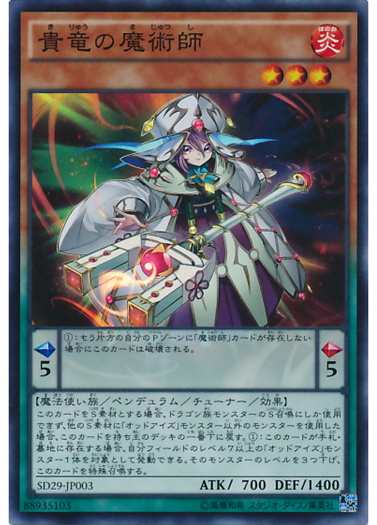 貴竜の魔術師