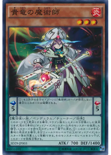 貴竜の魔術師