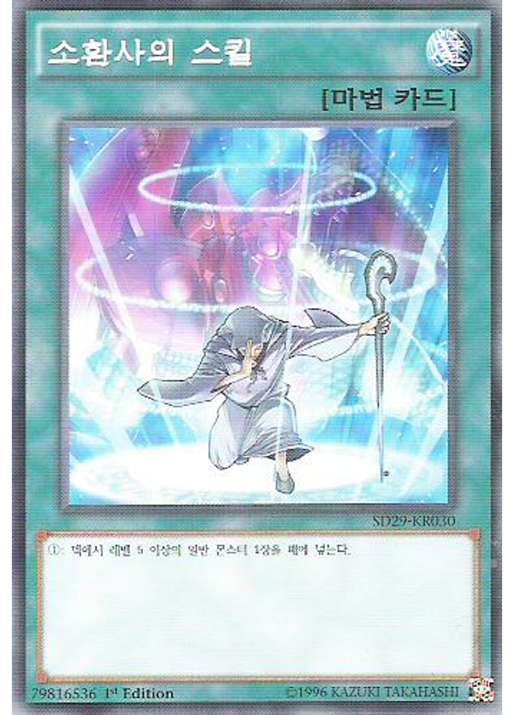 소환사의 스킬